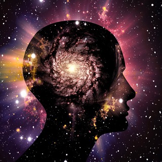 Apuntes Yuen Canal YouTube Lizza G