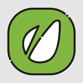 Envato Element / Themeforest Freebies