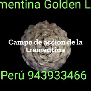 laboratorista clínico Erika Vazquez salas Representante legal de Golden Light de USA a Perú 943933466