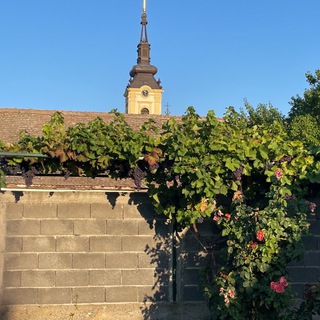 Деревенская Сербия