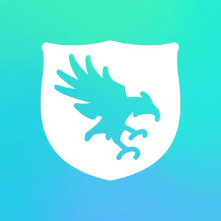 Video Watching Process