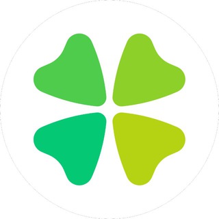 Clever International School