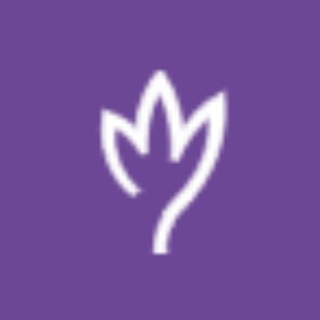 GERMANISCHE HEILKUNDE® Dr. Hamer - International🌏