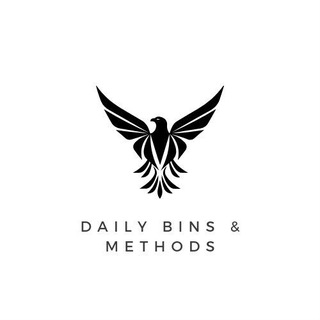 Daily Bins + Methods