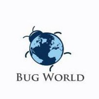 Aktu Notes and pdf and quantum for BTech