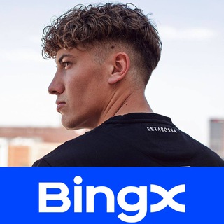 CryptoWallStreet | BingX