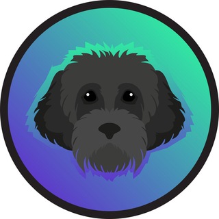 $MYRO | The Solana Founders Dog ✔