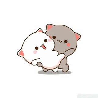 IPTV小助手