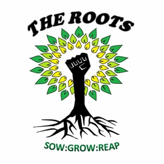 The Roots 🌱