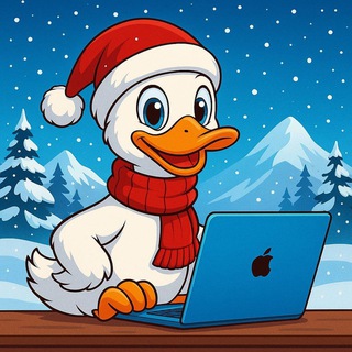 VPN DUCKS