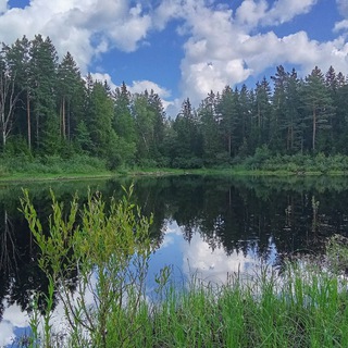 Аслан Нахушев