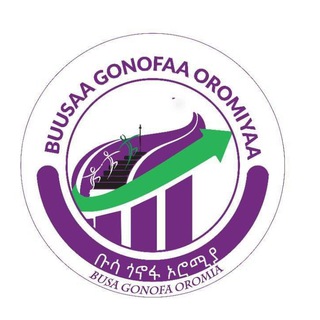 Busa Gonofa Oromia (Head Office)