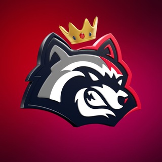 👑BetFury VIP Notices👑