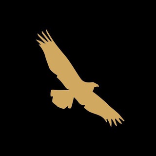 ЛПР: Общий чат