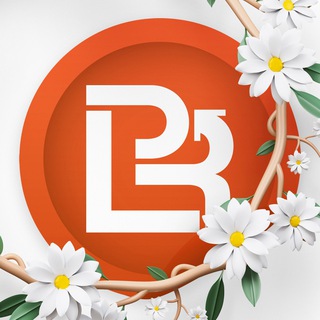 Лиды и контент для БФЛ | ЛПР