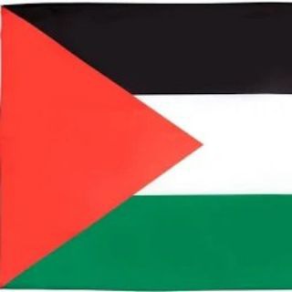 Seyed Mohammad Marandi