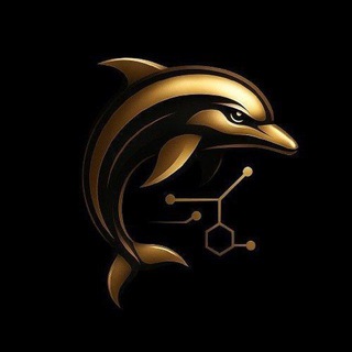 Dolphin Wallet Finder