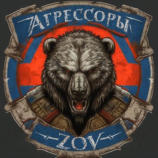 Агрессоры ZOV