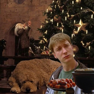 All the young dudes¡