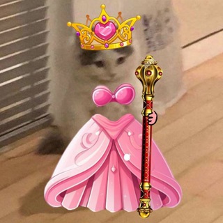 $Micha Community | Official Portal