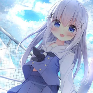 Sakura-quicken 稳定4K机场 20% AFF