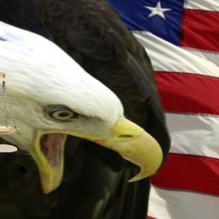 Patriot Breaking News And Views