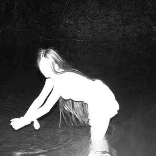 темная лошадка