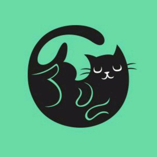 Cat GIFs