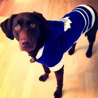 GTA Furries / Toronto Furries Lobby Group