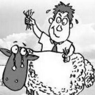 羊毛党–TG支部 (薅死羊不偿命系列)🐑🐑🐑