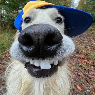 АДСКАЯ ДРАЧИЛЬНЯ