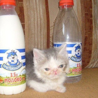 🍭LOGA – Читы и сборки на RADMIR RP🍾