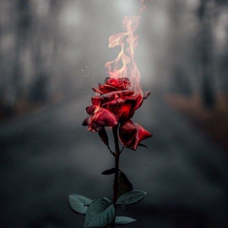 Free me Bhai Official