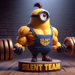 Silent Team Mods