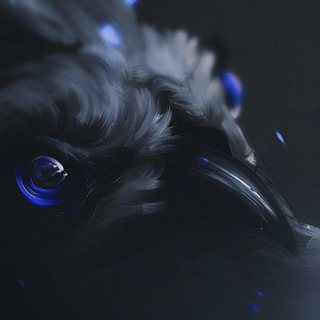 Darkcrow NSFW R18+ 🚫Politics