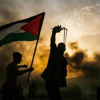 Perang Palestina vs Israel.