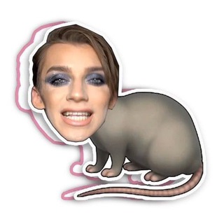 СЛИВНАЯ КРЫСА ✔️