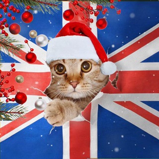 Курсы иностранных языков