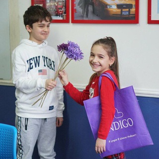 Школа Индиго