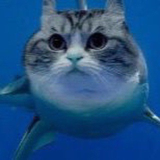 Hall Of Shame | Позорники Всея РКГД