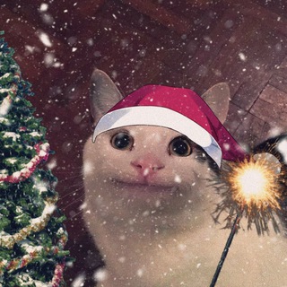 Аватарки для любителей Белуги🎄