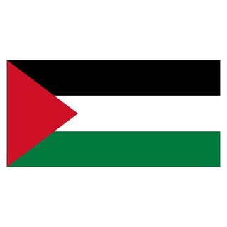 OTP Bot Palestine v1.0