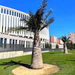 Краснодарский край экскурсии и мастер-классы