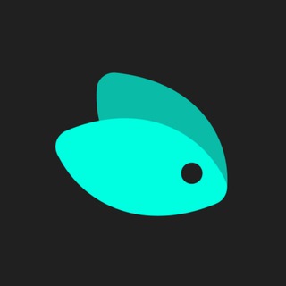 Dira – the most secure messenger