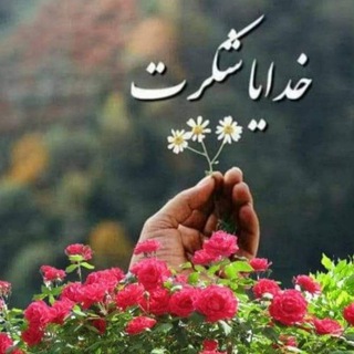 Аниси дилҳо