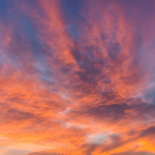 ✨Всё для тг✨