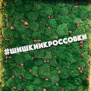 Шишки и кроссовки Shop