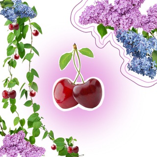 Летние будни на пару