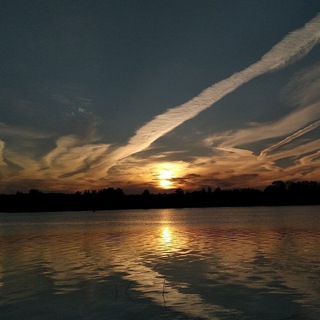 ⚡️ДТП и ЧП | Ленинградская область Он-Лайн | СПб 🇷🇺