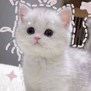 Язычки /темки💋🐈🐈‍⬛️